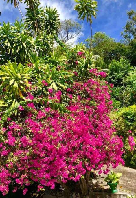 Hilltop South - Villa Bougainville Takamaka Exteriér fotografie